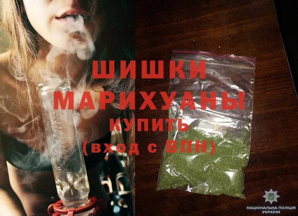 гидра Горняк