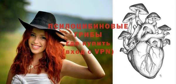 синтетический гашиш Горнозаводск