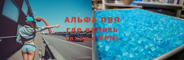 гидра Горняк