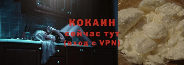 гидра Горняк