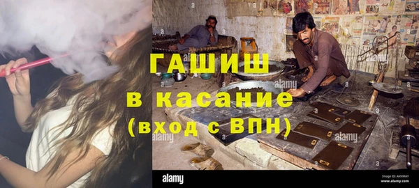 гидра Горняк