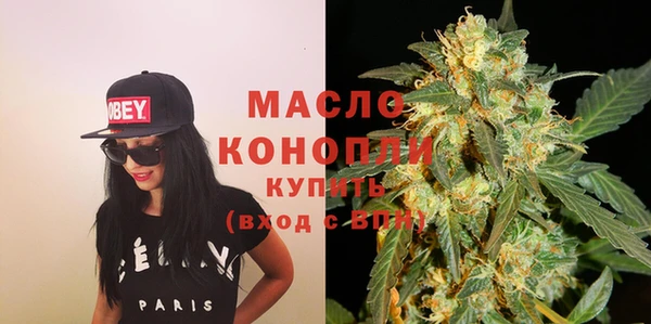 гидра Горняк
