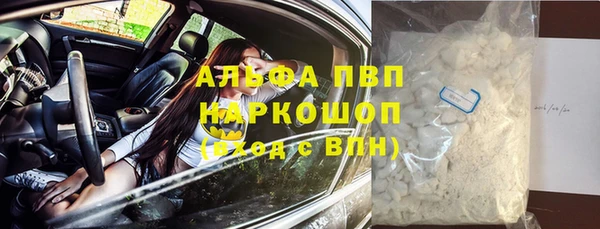 гидра Горняк