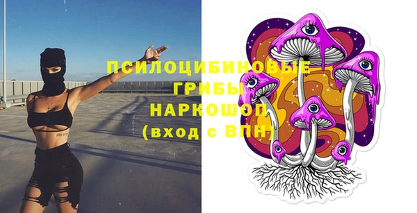 синтетический гашиш Горнозаводск