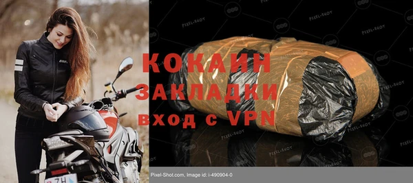 гидра Горняк