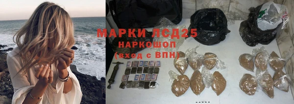 гидра Горняк