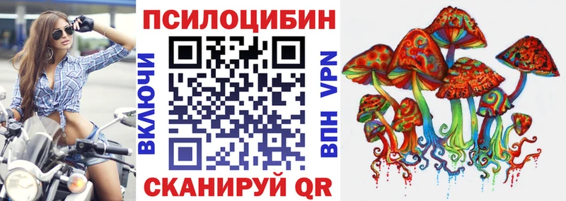 Купить где Кедровый Галлюциногенные грибы Psilocybe