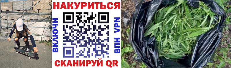 Канабис OG Kush  Купить где  Кедровый 